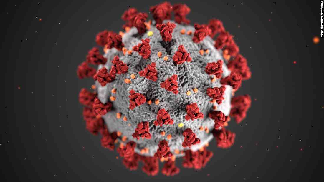 Norovirus reported at island party; 600 reported cases in Europe