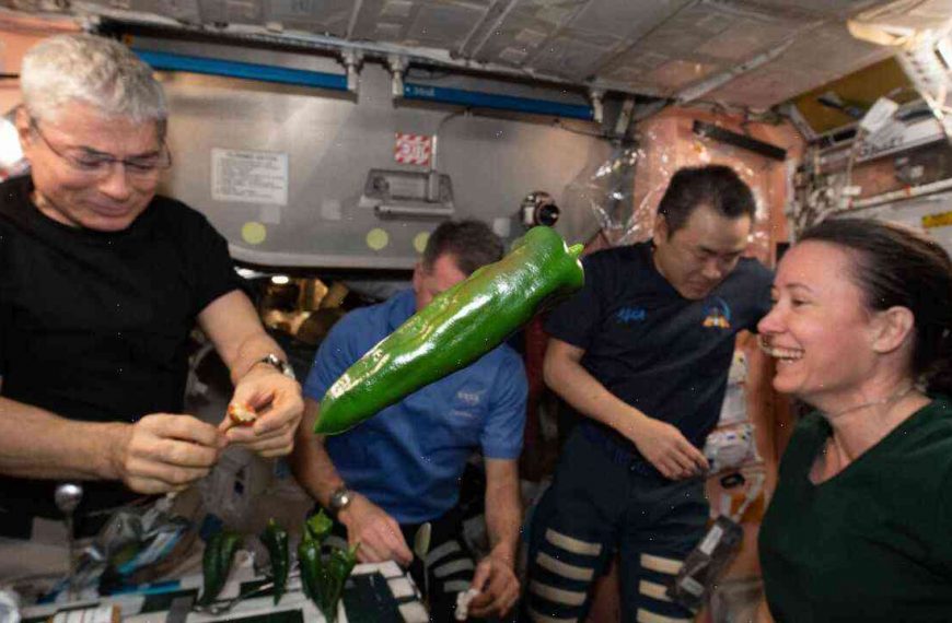 The guys in space are preparing a new meal on their trip back to Earth. It’s way spicy.
