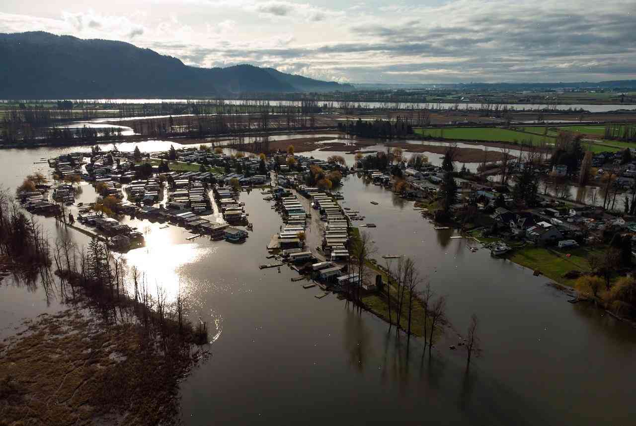 B.C. workplace safety watchdog raises concerns about contaminants from flooding